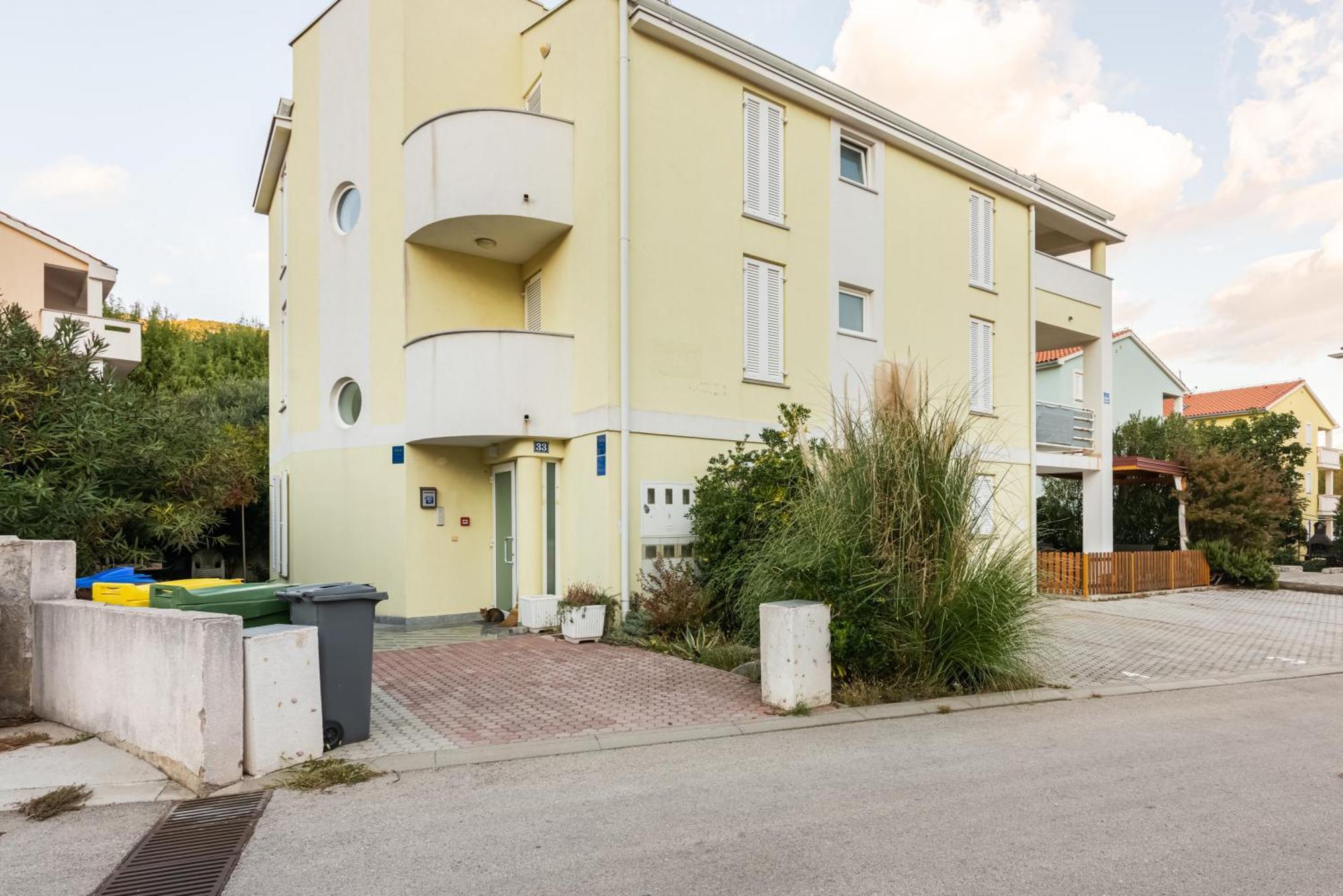 Olivella With Terrace